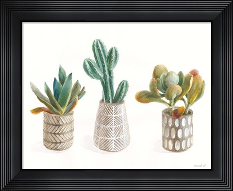 Framed Desert Greenhouse VI Print