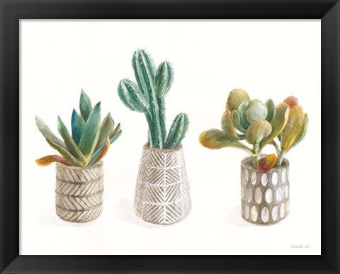 Framed Desert Greenhouse VI Print