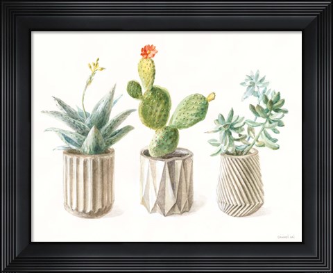 Framed Desert Greenhouse IX Print