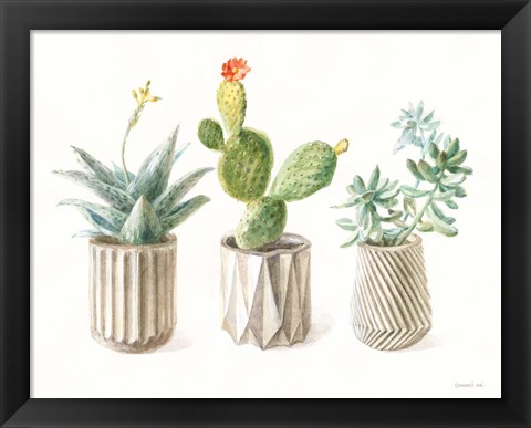 Framed Desert Greenhouse IX Print