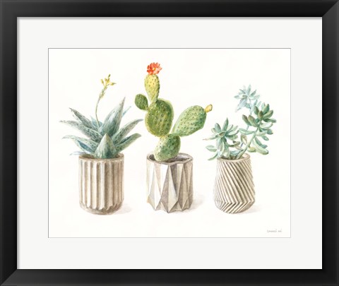 Framed Desert Greenhouse IX Print