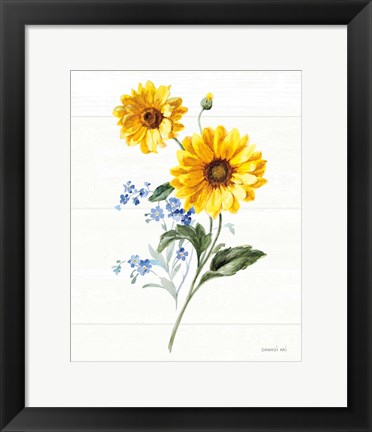 Framed Bees and Blooms Flowers V Print