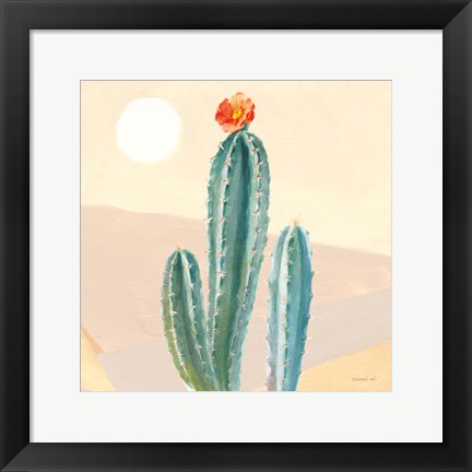 Framed Desert Greenhouse III Print