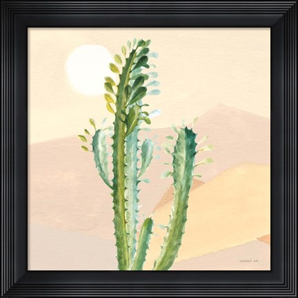 Framed Desert Greenhouse II Print