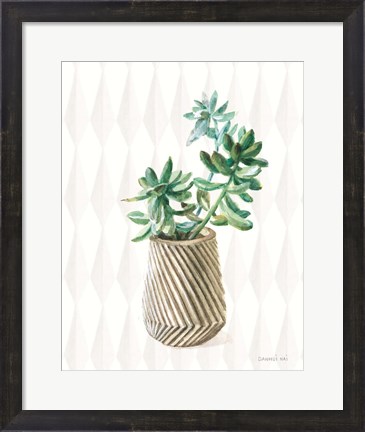 Framed Desert Greenhouse X Print