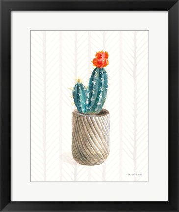 Framed Desert Greenhouse XI Print
