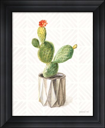 Framed Desert Greenhouse XII Print