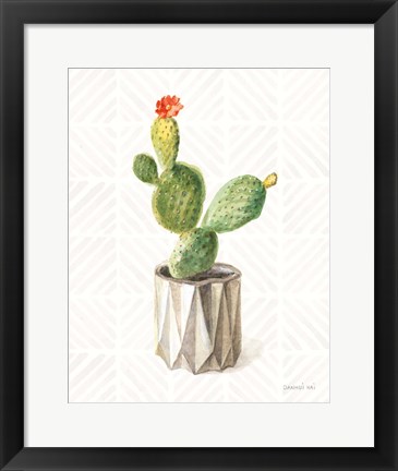 Framed Desert Greenhouse XII Print