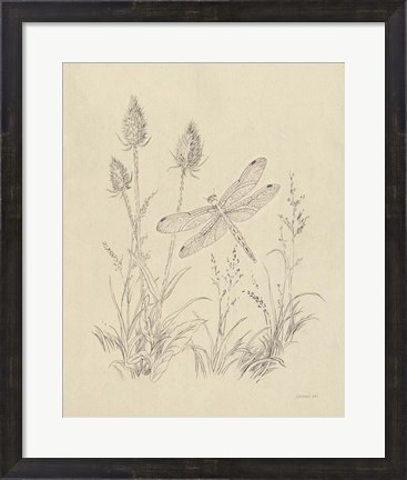 Framed Vintage Nature Sketchbook IV Print