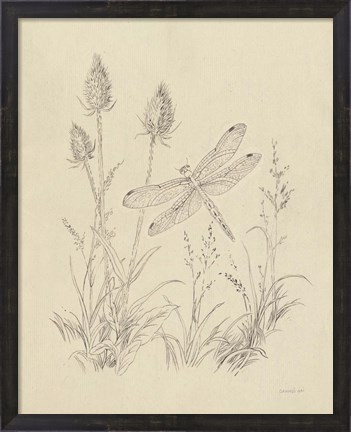 Framed Vintage Nature Sketchbook IV Print