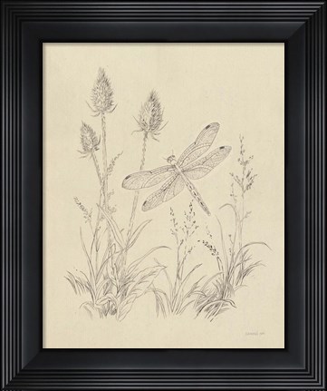 Framed Vintage Nature Sketchbook IV Print
