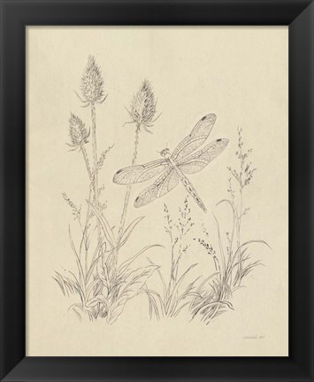 Framed Vintage Nature Sketchbook IV Print