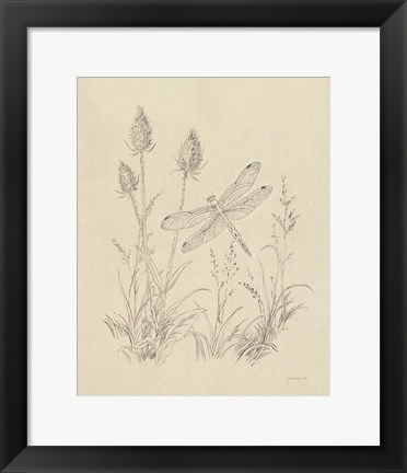 Framed Vintage Nature Sketchbook IV Print