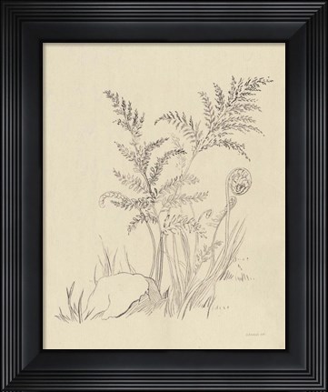 Framed Vintage Nature Sketchbook VI Print