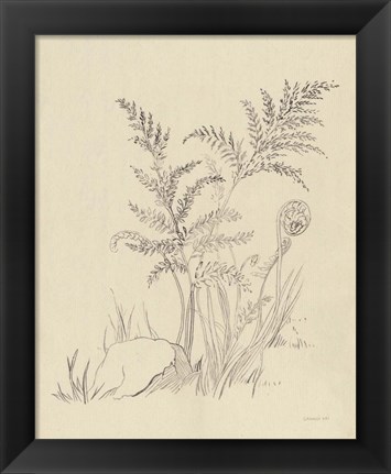 Framed Vintage Nature Sketchbook VI Print