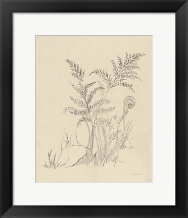 Framed Vintage Nature Sketchbook VI Print