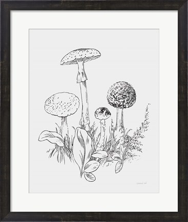Framed Natures Sketchbook II Bold Light Gray Print