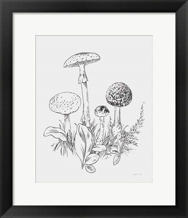 Framed Natures Sketchbook II Bold Light Gray Print