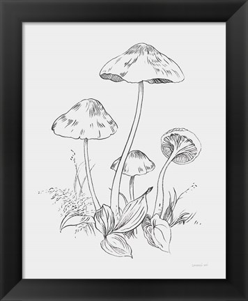 Framed Natures Sketchbook III Bold Light Gray Print