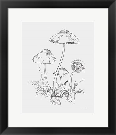 Framed Natures Sketchbook III Bold Light Gray Print