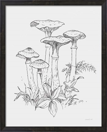 Framed Natures Sketchbook I Bold Light Gray Print