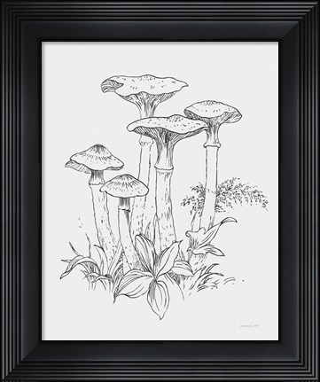 Framed Natures Sketchbook I Bold Light Gray Print