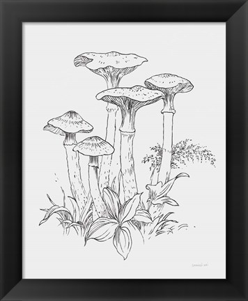 Framed Natures Sketchbook I Bold Light Gray Print