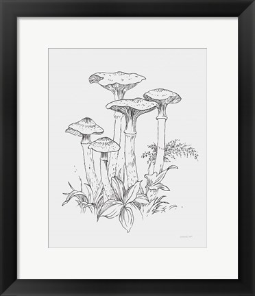 Framed Natures Sketchbook I Bold Light Gray Print