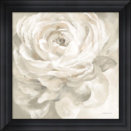Framed White Rose Gray Print