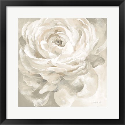 Framed White Rose Gray Print