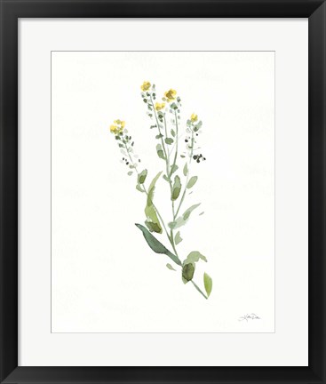 Framed Flowers of the Wild IV Print