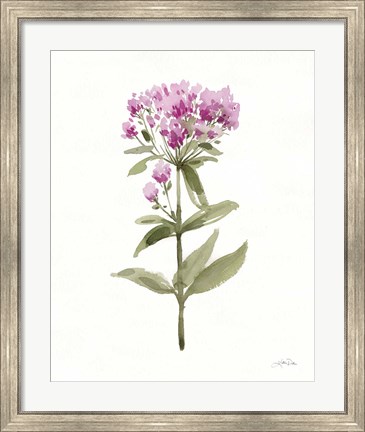Framed Flowers of the Wild II Print