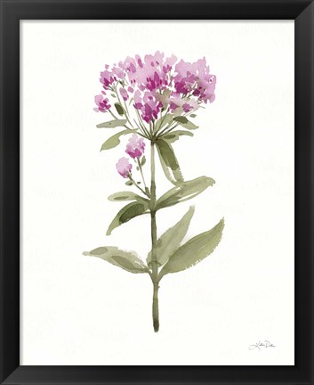 Framed Flowers of the Wild II Print