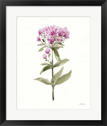 Framed Flowers of the Wild II Print