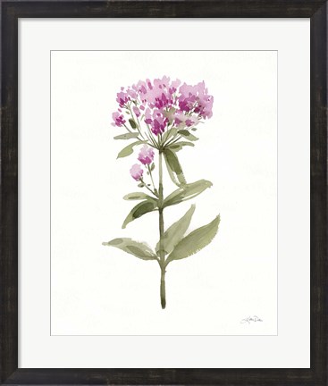 Framed Flowers of the Wild II Print
