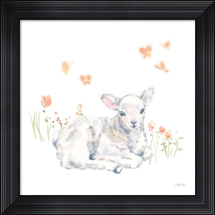 Framed Spring Lambs III Print