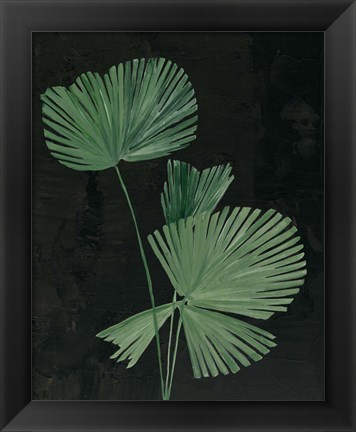 Framed Palm Botanical III Black Print