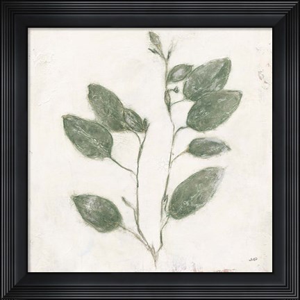Framed Plantlife II Green Print
