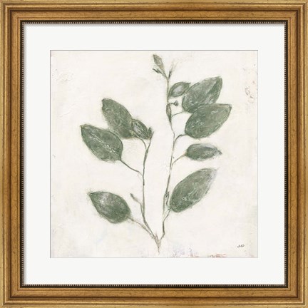 Framed Plantlife II Green Print