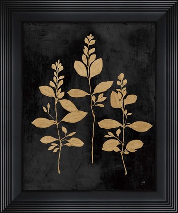 Framed Botanical Sutdy IV GB Print