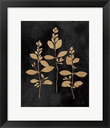 Framed Botanical Sutdy IV GB Print