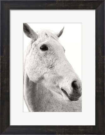 Framed Horse Named Lady II BW Print