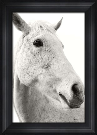 Framed Horse Named Lady II BW Print