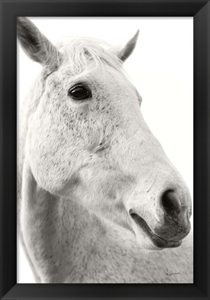 Framed Horse Named Lady II BW Print