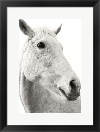 Framed Horse Named Lady II BW Print