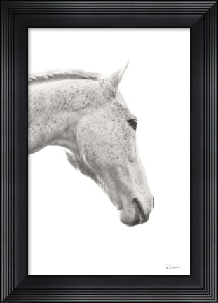 Framed Horse Named Lady I BW Print
