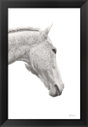 Framed Horse Named Lady I BW Print