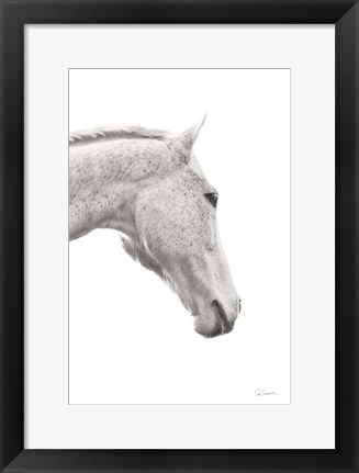 Framed Horse Named Lady I BW Print