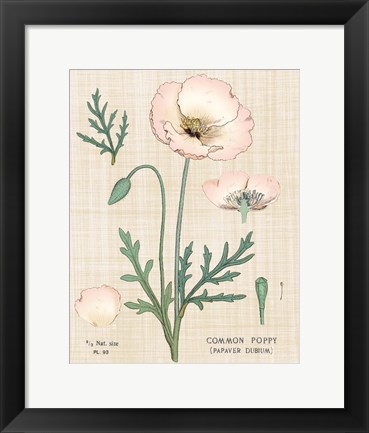 Framed Poppy Chart Linen Print