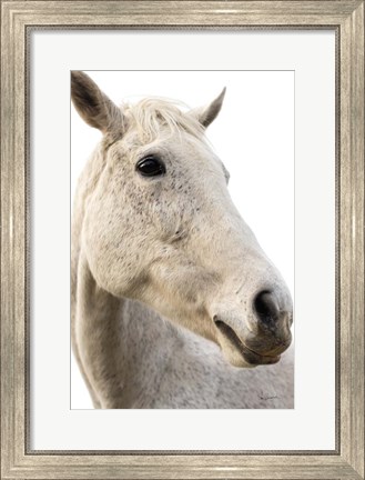 Framed Horse Named Lady II Print